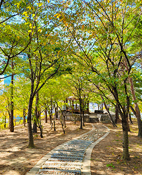 산책로